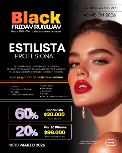 Estilista Profesional 12 meses