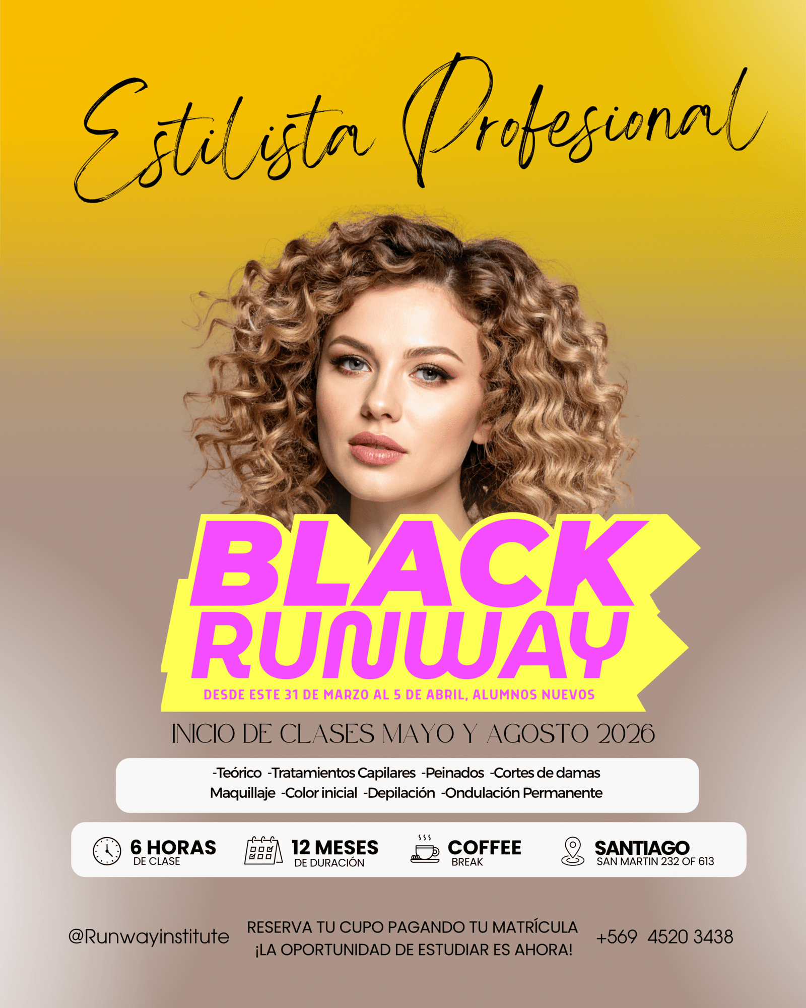 Estilista Profesional 12 meses