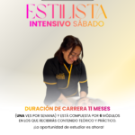 ᴇsᴛɪʟɪsᴛᴀ ɪɴᴛᴇɴsɪᴠᴏ 𝟷𝟷 ᴍᴇsᴇs