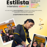 ᴇsᴛɪʟɪsᴛᴀ ɪɴᴛᴇɴsɪᴠᴏ 𝟷𝟷 ᴍᴇsᴇs