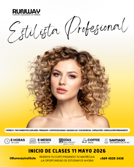 Estilista Profesional 12 meses